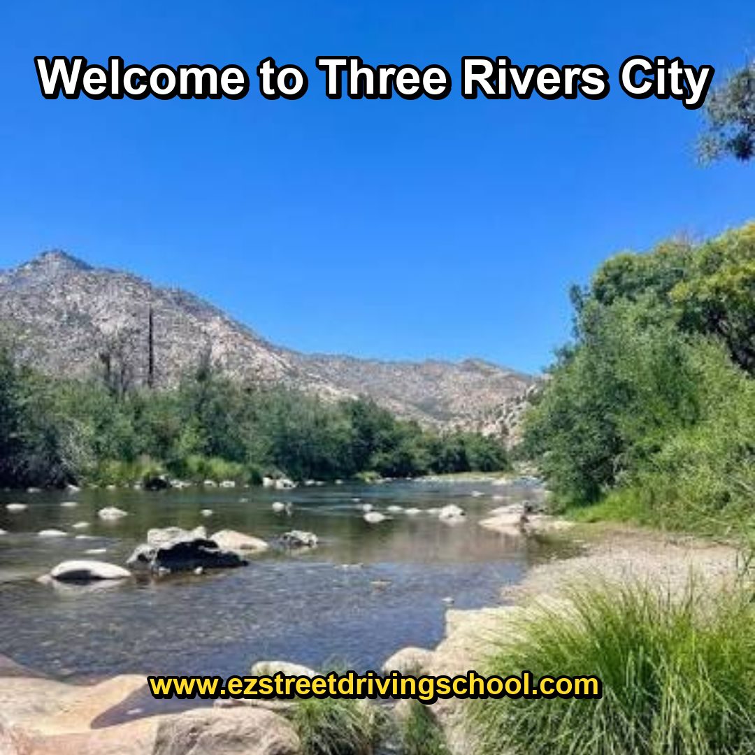 Driving Lessons in Three Rivers